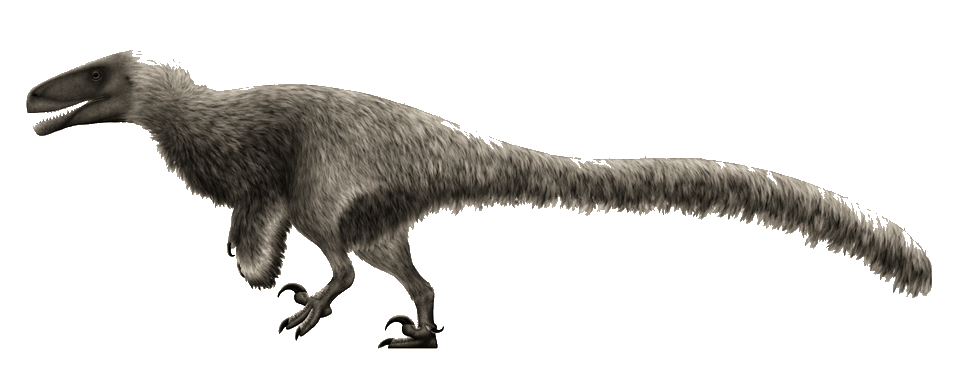 Achillobator — illustration