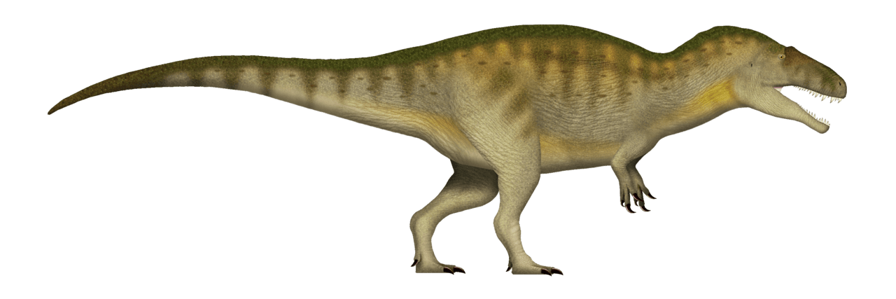 Acrocanthosaurus — illustration