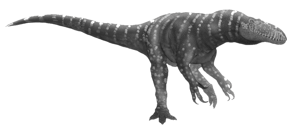 Afrovenator — illustration