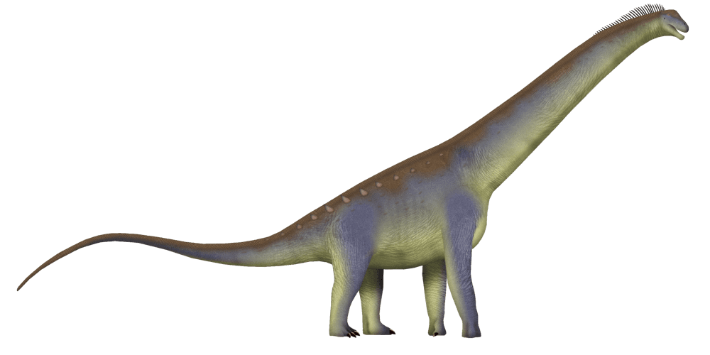 Alamosaurus