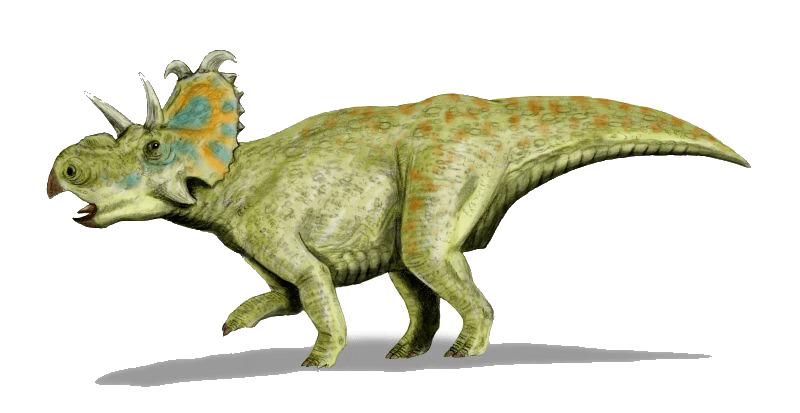 Albertaceratops — illustration