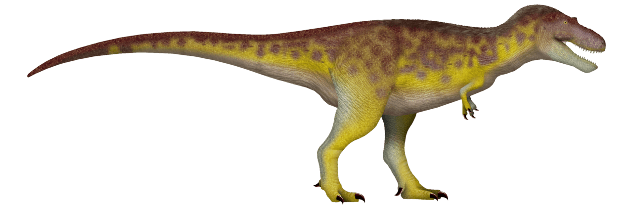 Albertosaurus — illustration