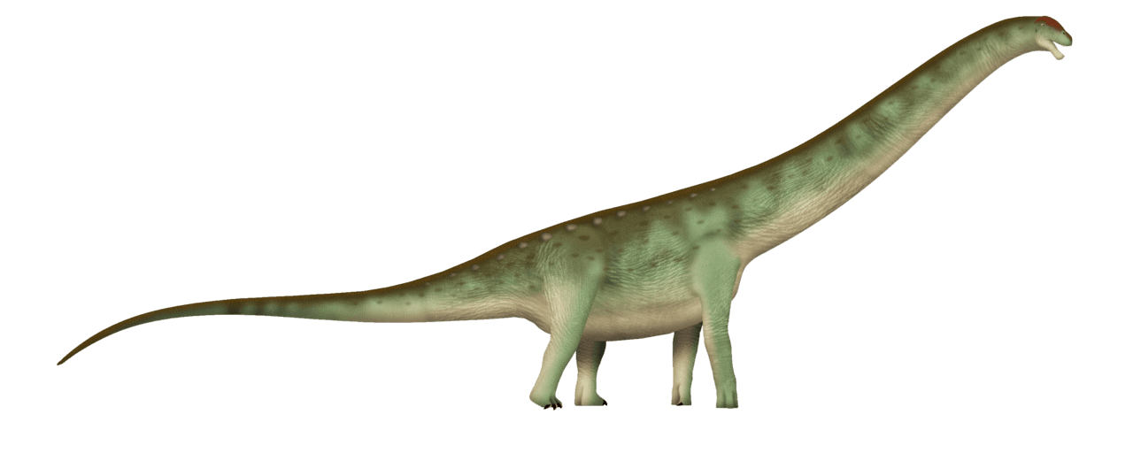 Argentinosaurus — illustration
