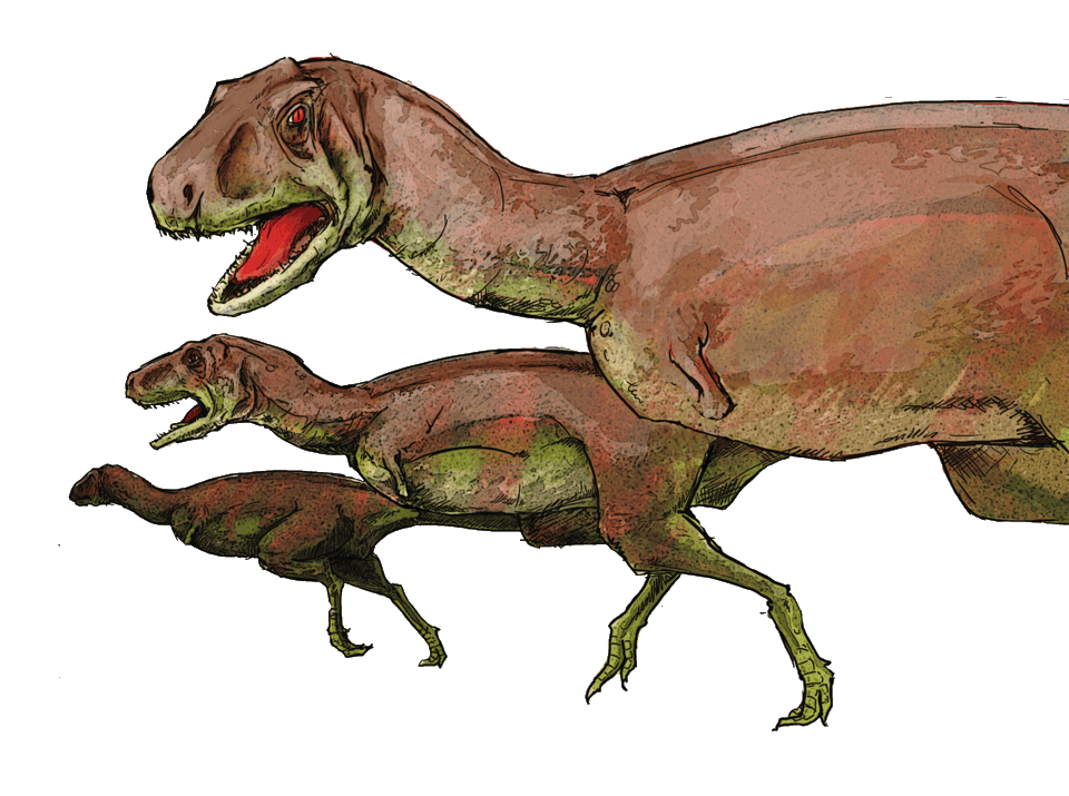 Aucasaurus — illustration