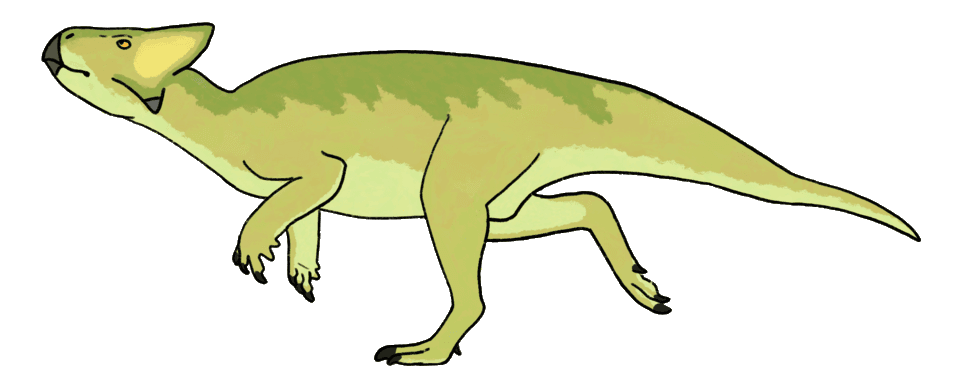 Auroraceratops — illustration