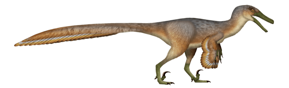 Austroraptor