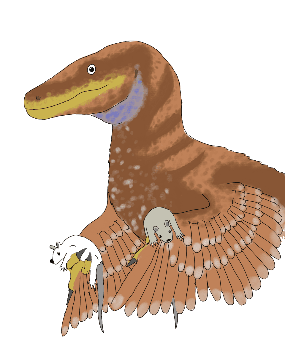 Bambiraptor — illustration