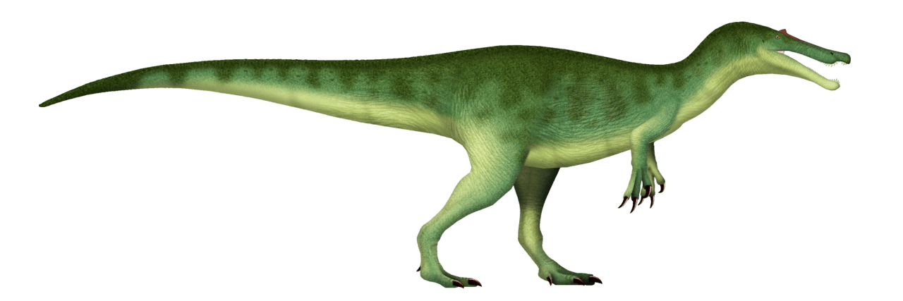 Baryonyx — illustration