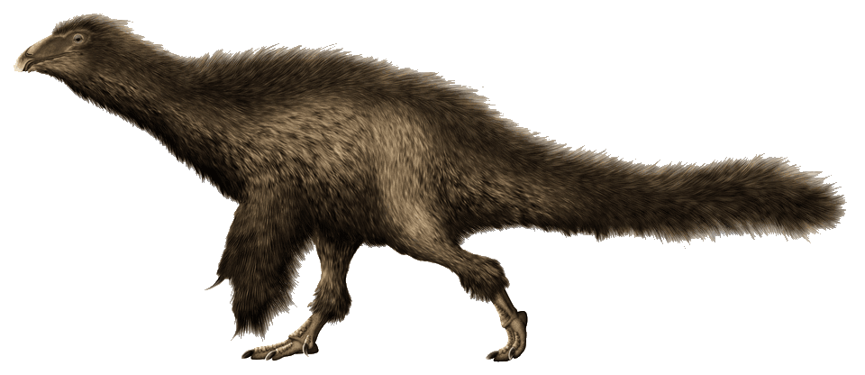 Beipiaosaurus — illustration
