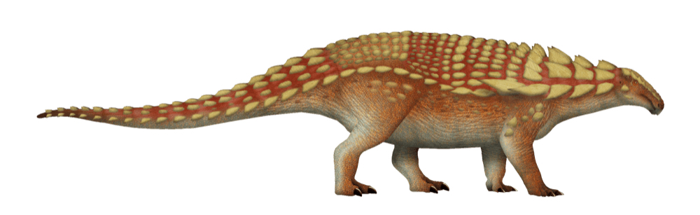 Borealopelta