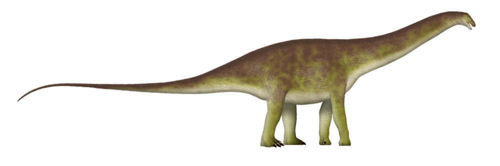 Brontosaurus