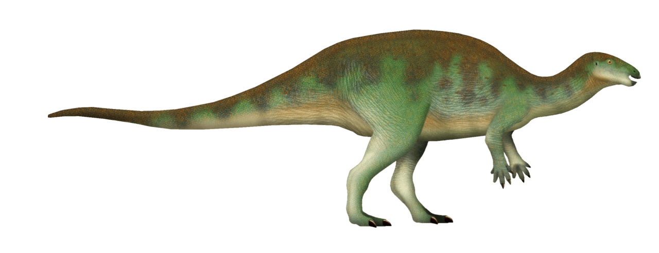 Camptosaurus — illustration