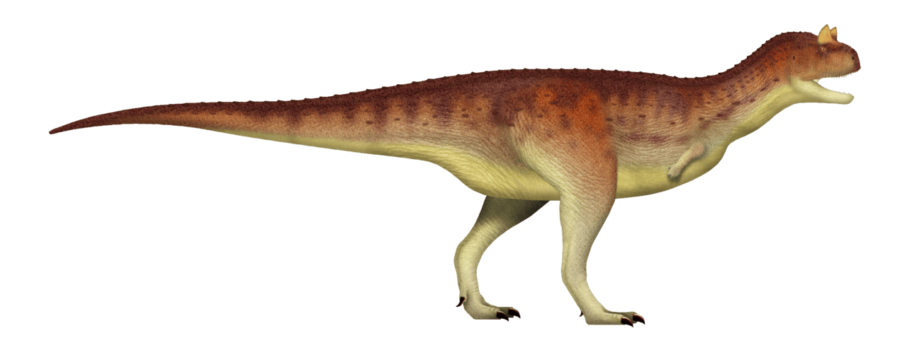 Carnotaurus — illustration