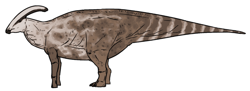Charonosaurus — illustration