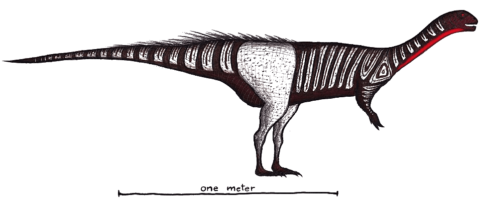 Chilesaurus — illustration