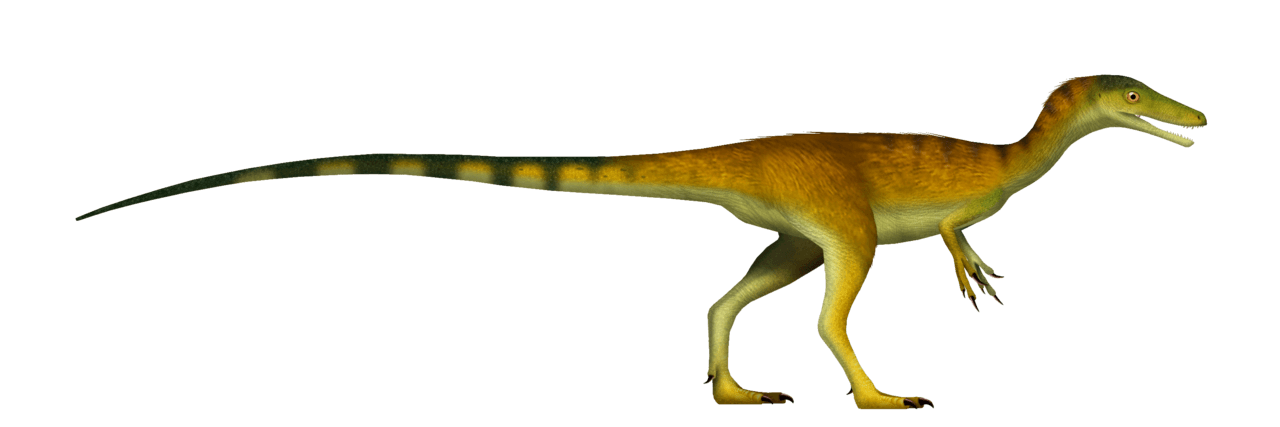 Compsognathus — illustration