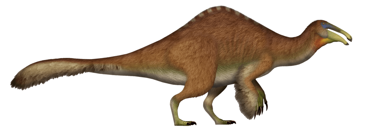 Deinocheirus — illustration