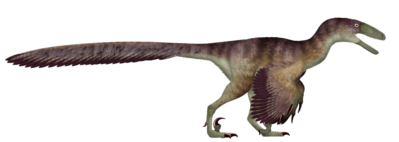 Deinonychus — illustration