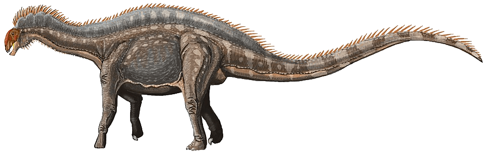 Dicraeosaurus — illustration
