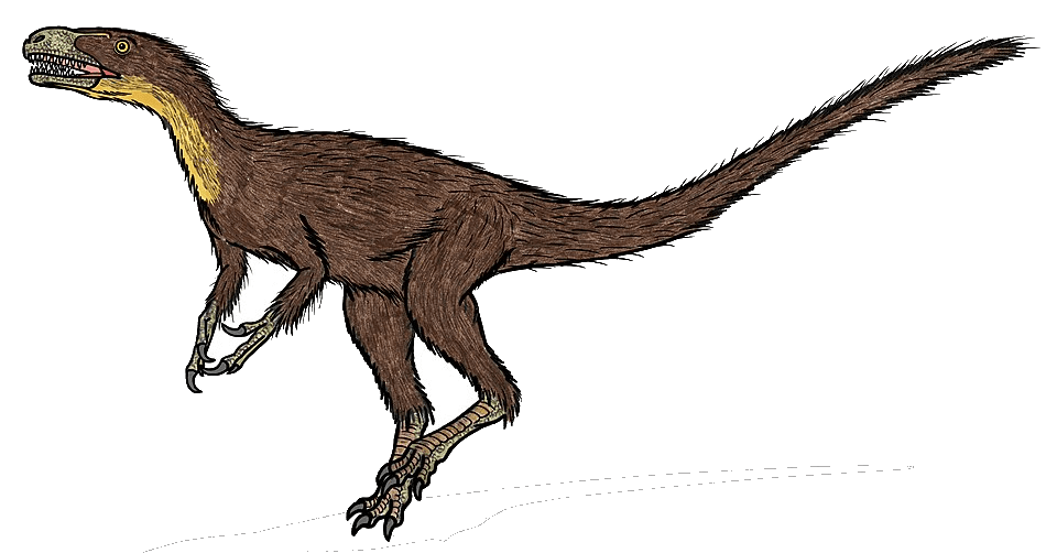Dilong — illustration