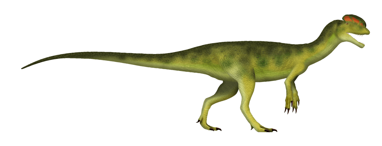 Dilophosaurus — illustration