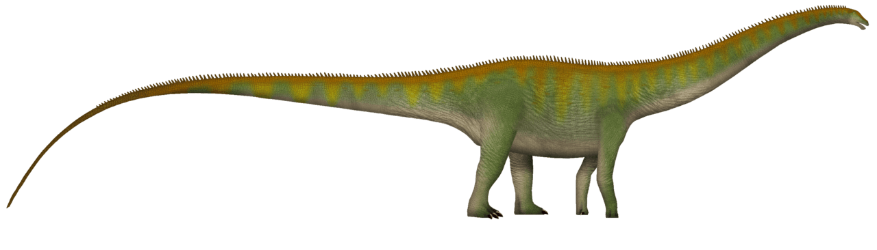 Diplodocus — illustration