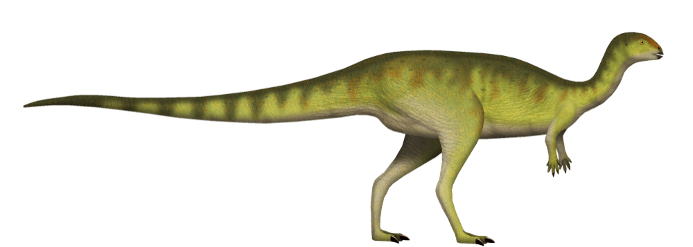 Dryosaurus
