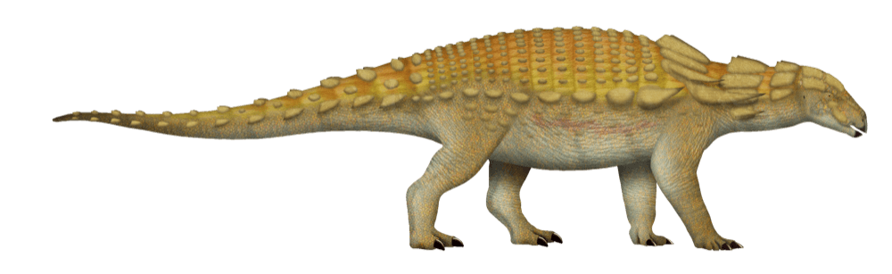 Edmontonia