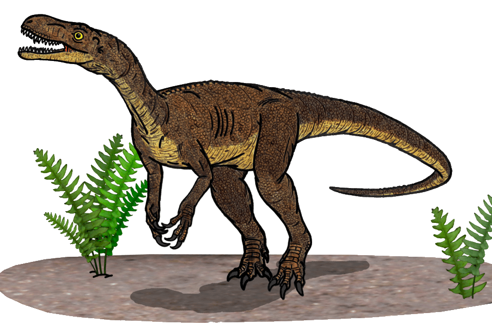 Eodromaeus — illustration
