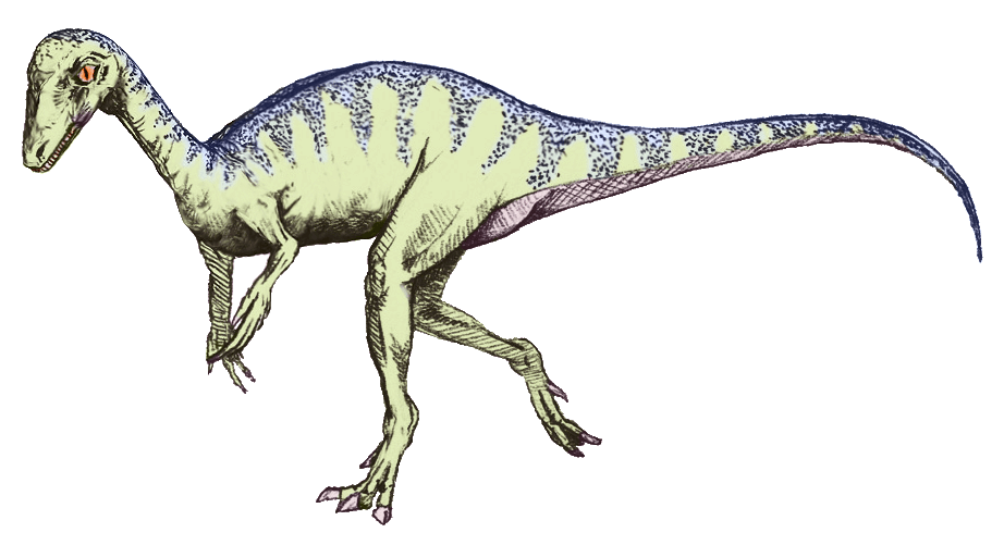Eoraptor — illustration