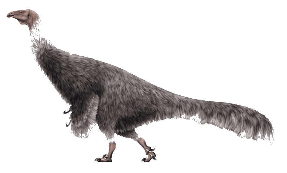Erlikosaurus — illustration