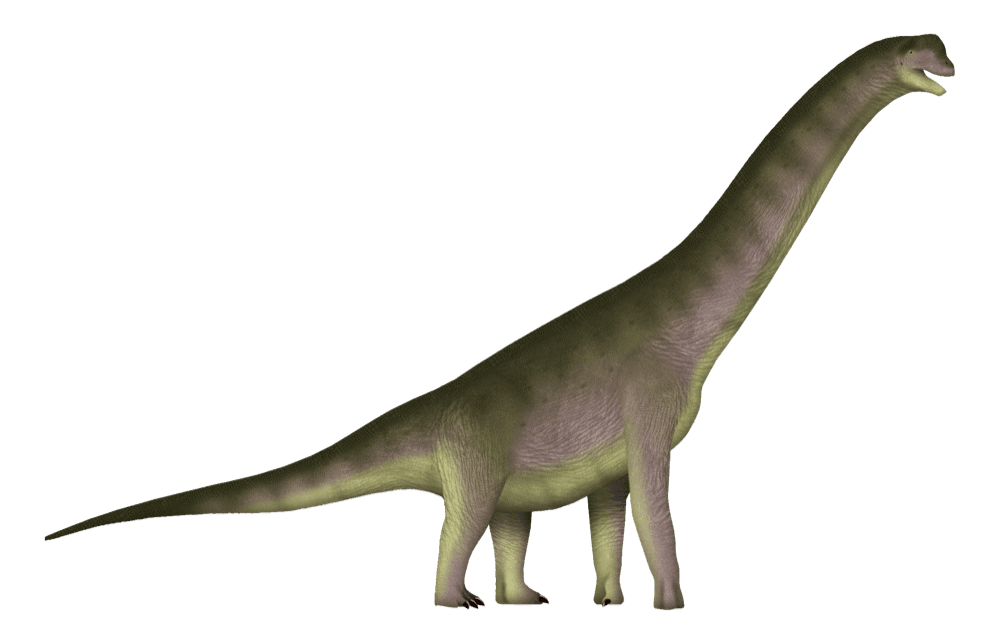 Europasaurus