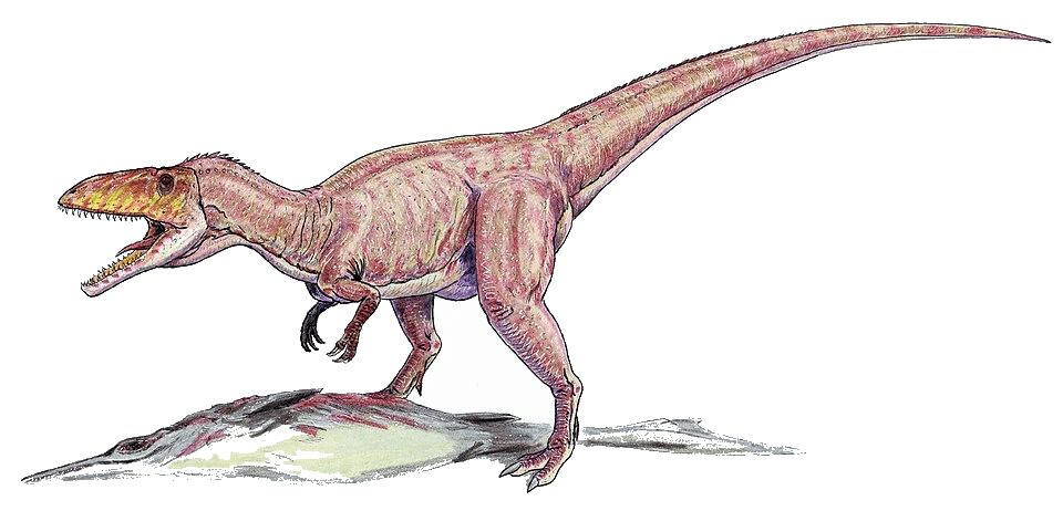 Eustreptospondylus — illustration