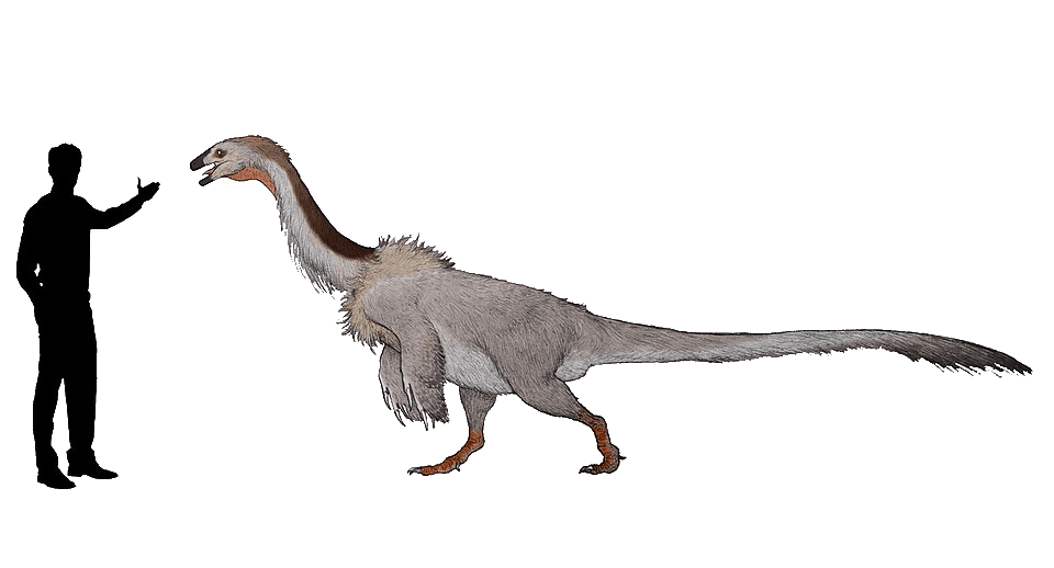 Falcarius — illustration