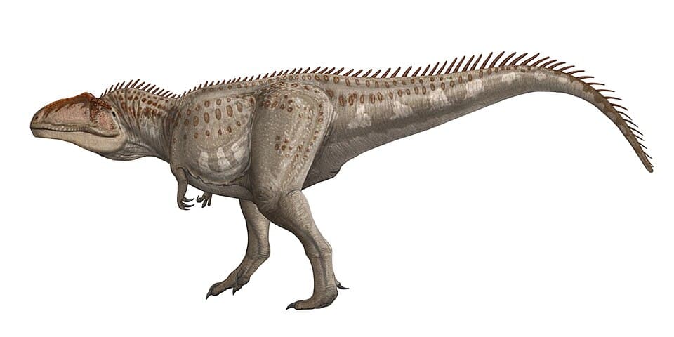 Giganotosaurus — illustration