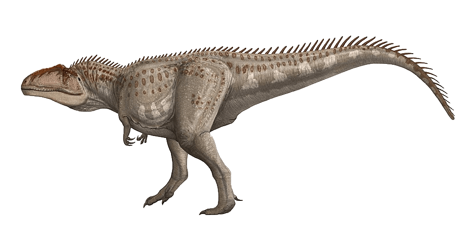 Giganotosaurus