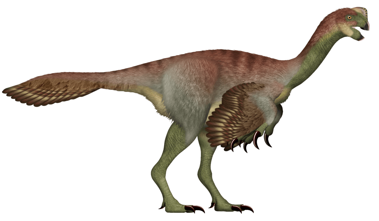 Gigantoraptor — illustration