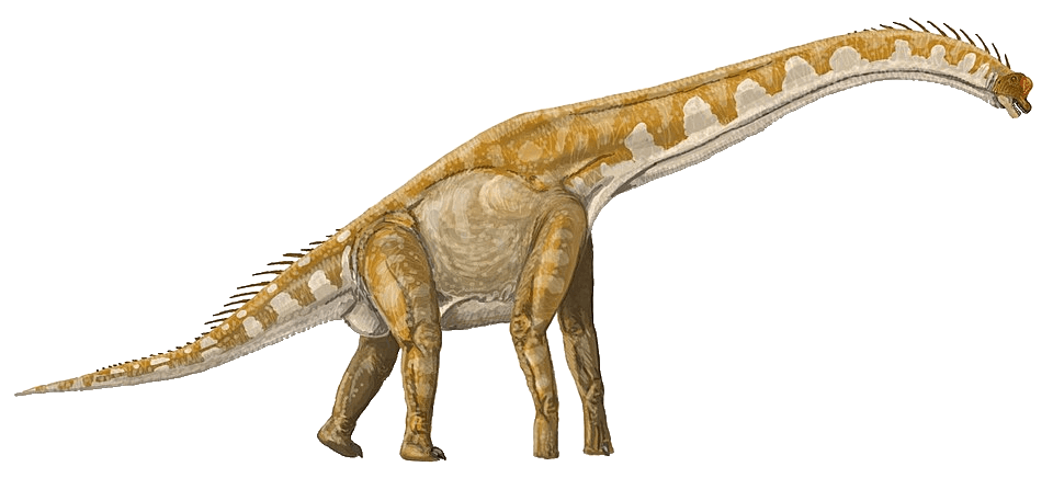 Giraffatitan — illustration