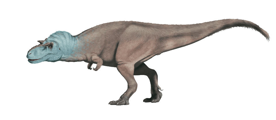 Gorgosaurus — illustration