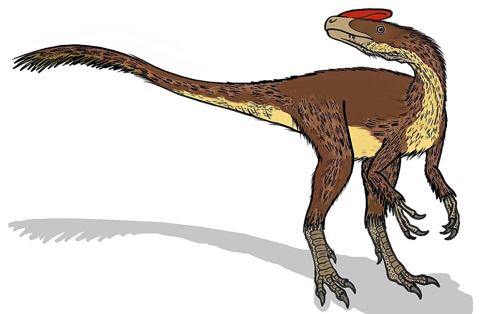 Guanlong — illustration