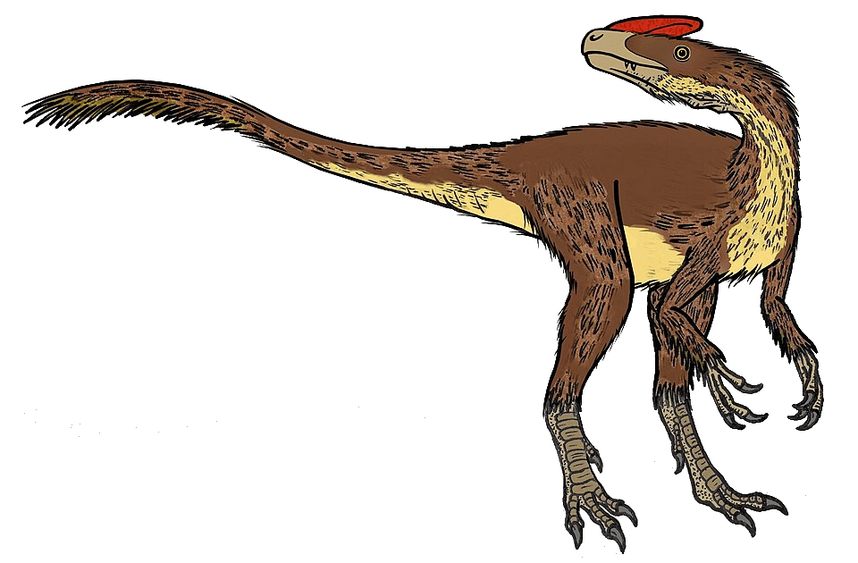 Guanlong