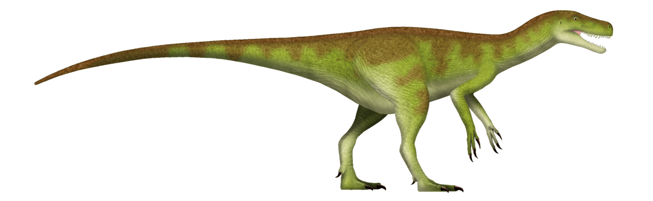 Herrerasaurus — illustration