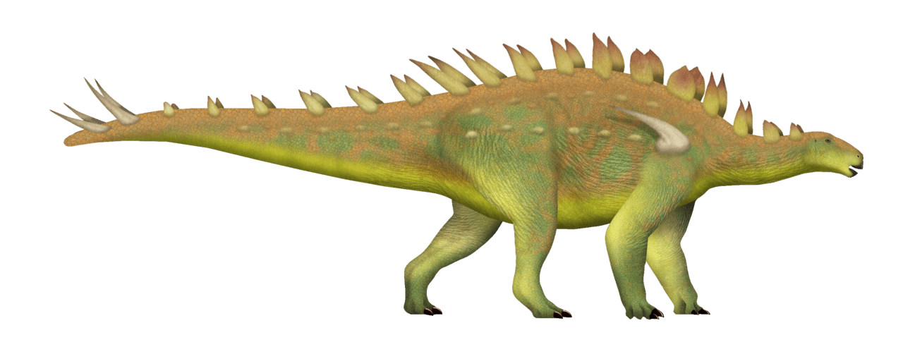 Huayangosaurus — illustration