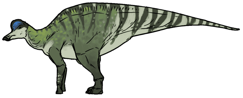 Hypacrosaurus — illustration