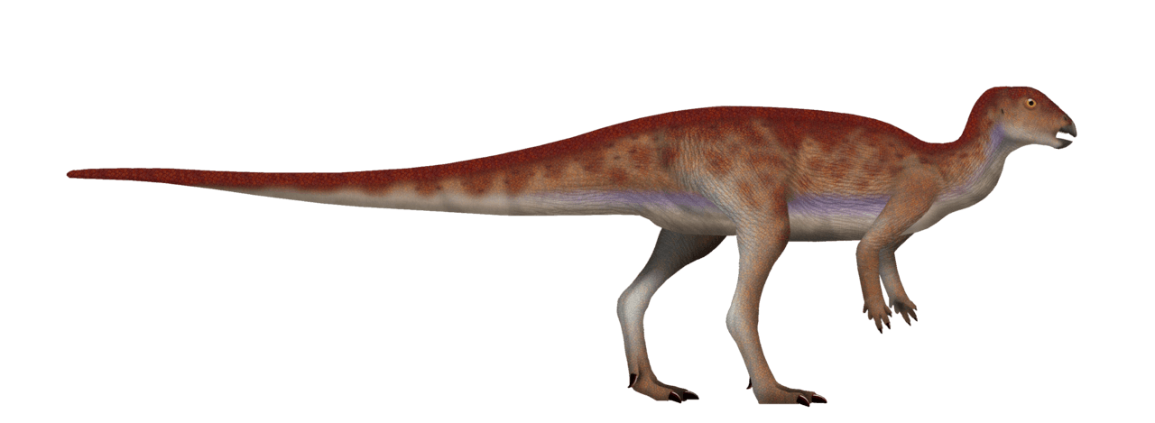 Hypsilophodon — illustration