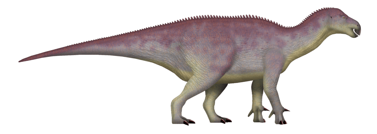 Iguanodon — illustration