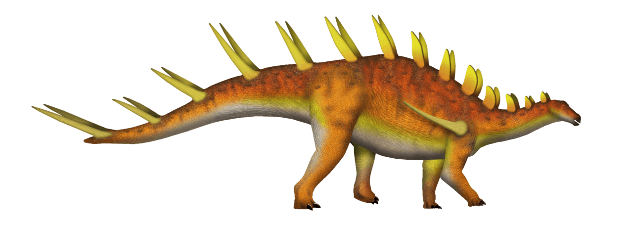 Kentrosaurus — illustration
