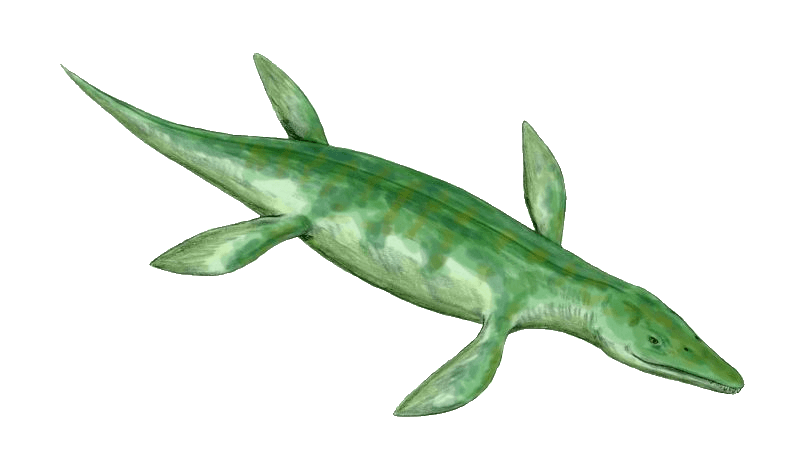 Kronosaurus — illustration