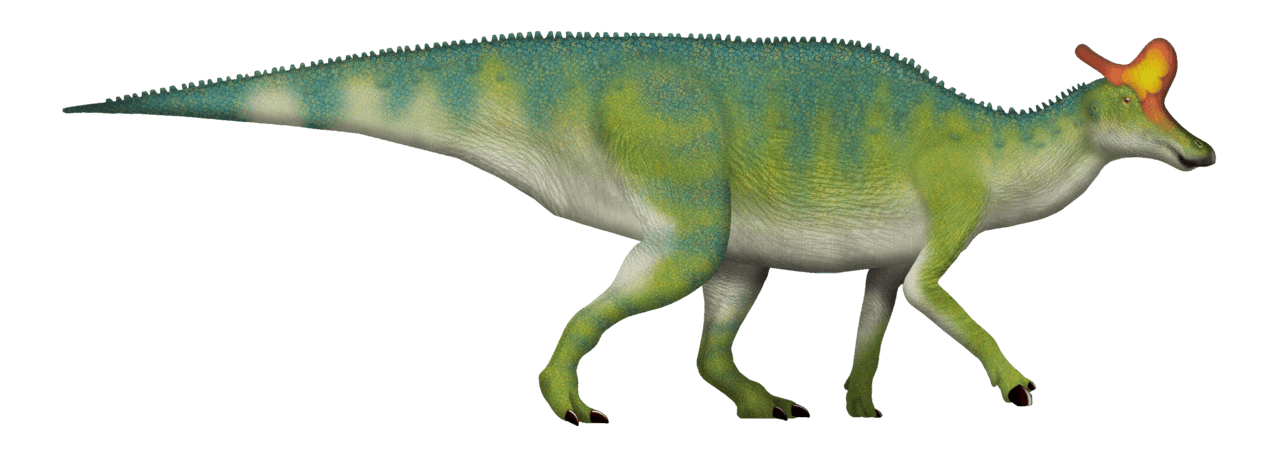 Lambeosaurus — illustration