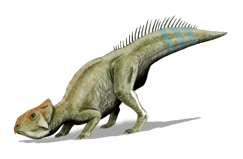 Leptoceratops — illustration